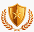 Safety Excellence Crest