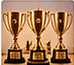 FKS Gold Trophies Display